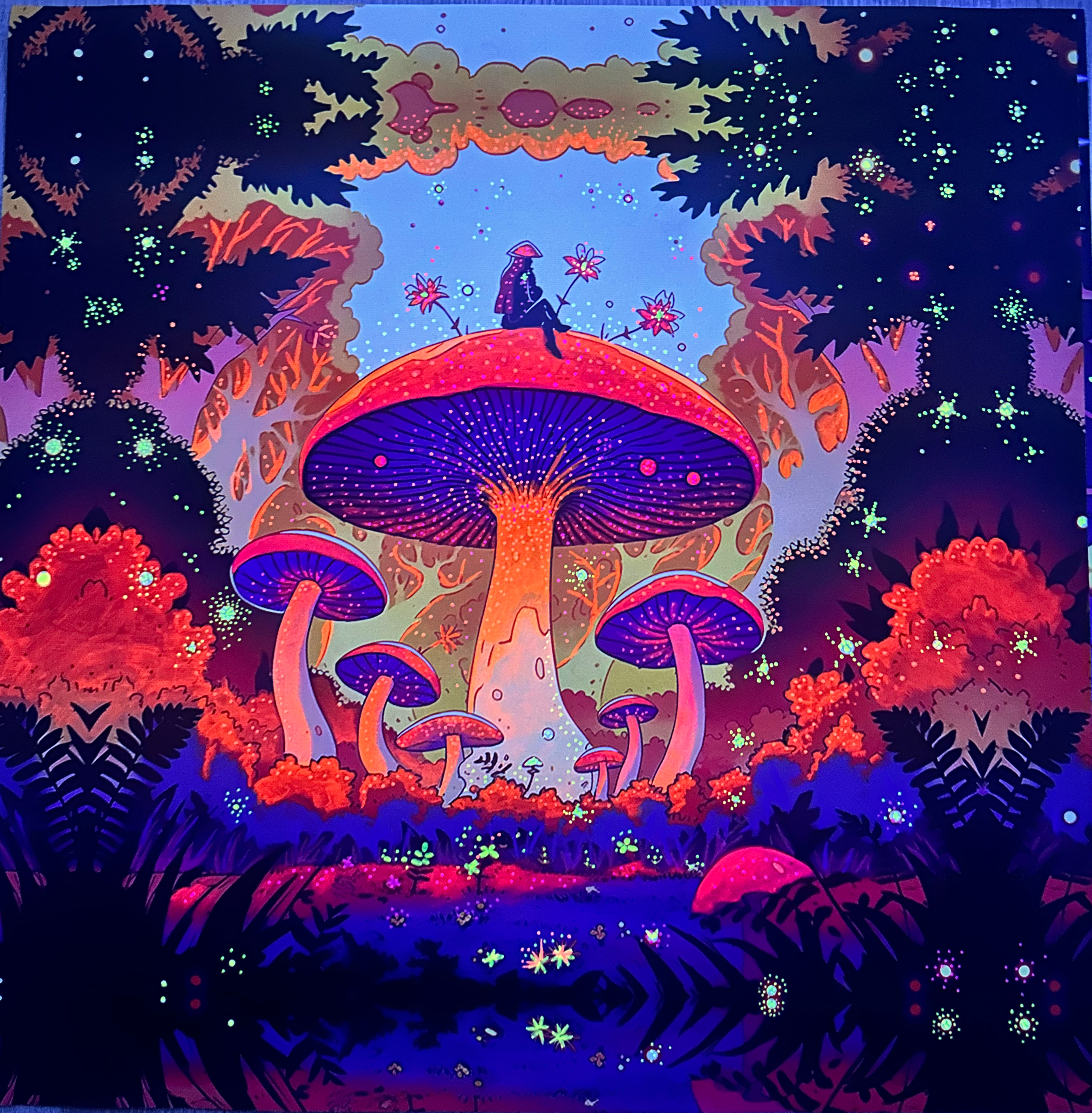 Shroom Trip