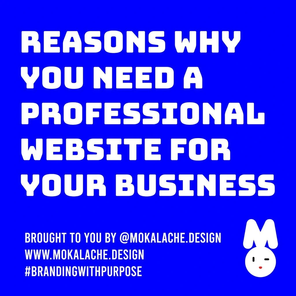 Read more about the article 5 Reasons Why You Need a Professional Website For Your Business?